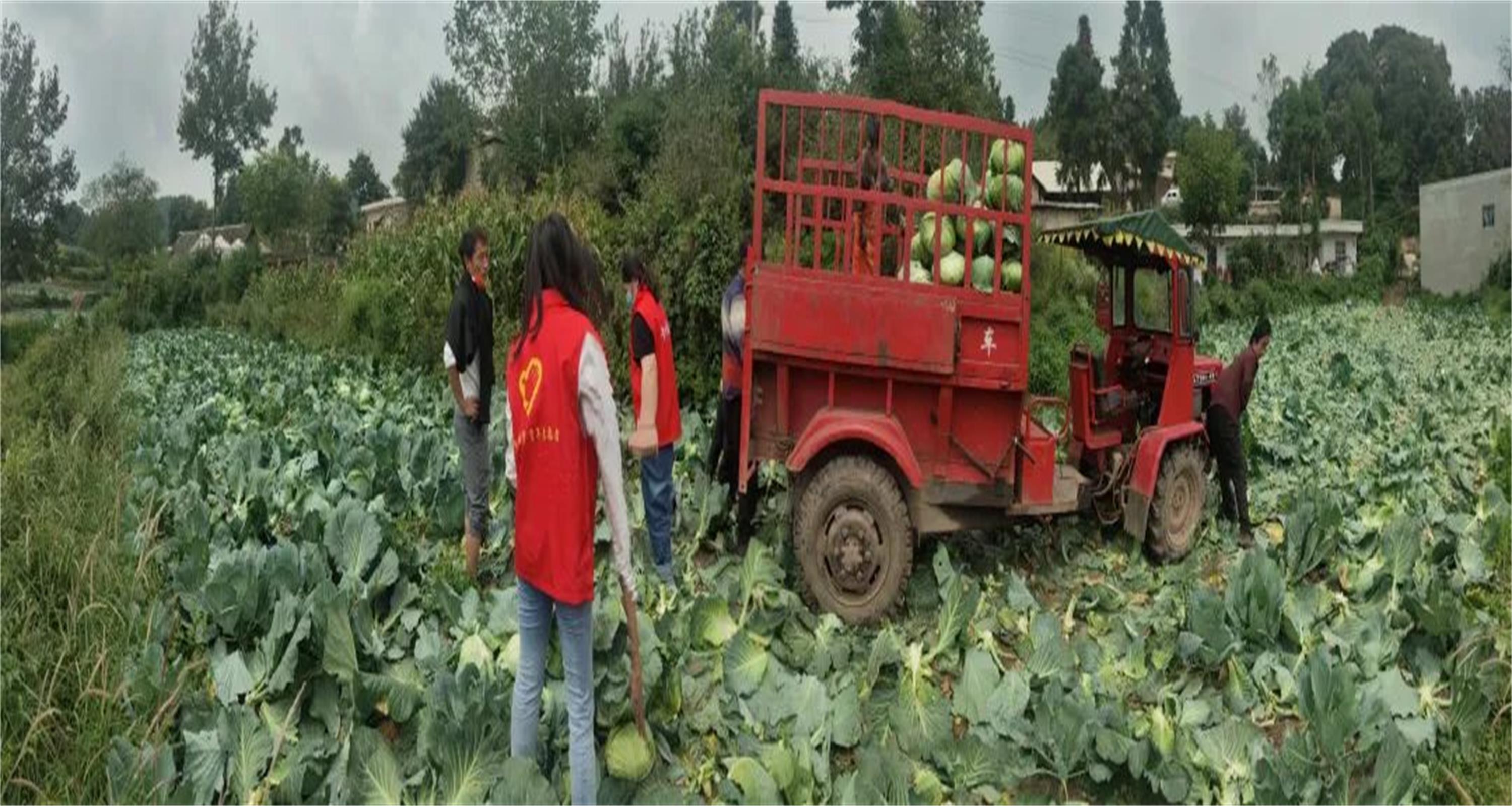 怀庄酒业——同心聚力担责任，助力抗疫显真情